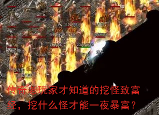 Ҳ֪ڹ¸ʲôֲһҹ