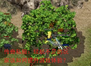 ˽ҸϷ飿