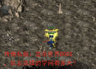 ˽ɱBOSSѡѧж