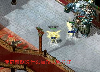 ǰѡʲôӹƺź