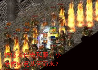 ʢ˽СϻӺζ