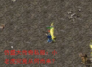 ʢ˽СϻӺζ