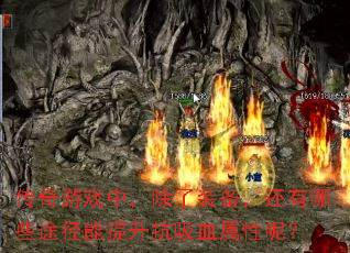 ϷУװЩ;Ѫأ