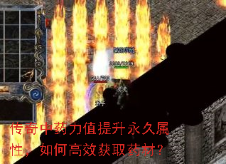 ҩֵԣθЧȡҩģ