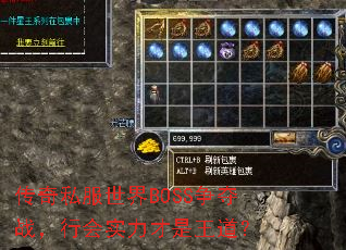 ˽BOSSսлʵ