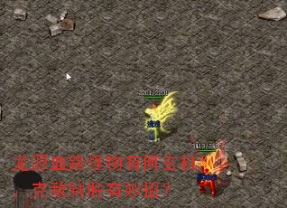 ԴѪ·к˵ʤУ