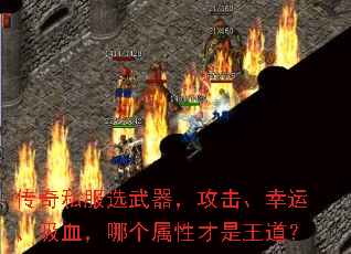 ˽ѡˡѪĸԲ