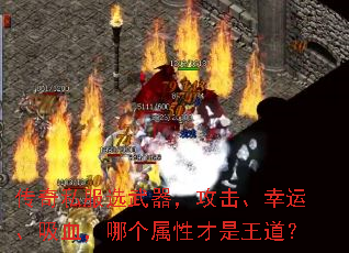 ˽ѡˡѪĸԲ