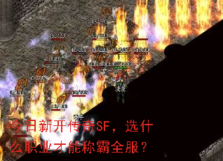 ¿SFѡʲôְҵܳưȫ