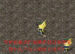 ˽ʦθЧٻʲôΪ֪Сɣ