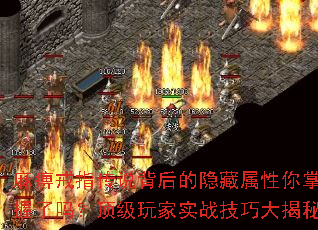 Խָ˵𣿶ʵսɴ