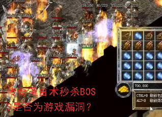 ʥɱBOSSǷΪϷ©