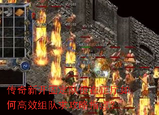 ¿̶θЧָ㣿