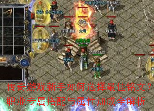 ϷѡģְҵרԼӳȫ