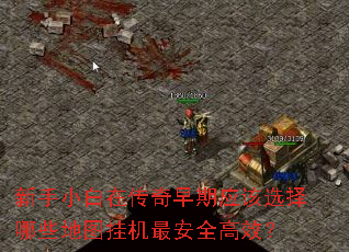СڴӦѡЩͼһȫЧ