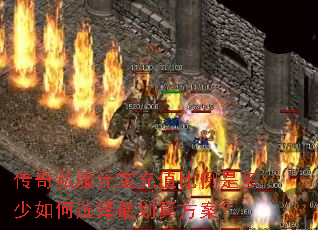 ˽ԪֵǶѡ㷽