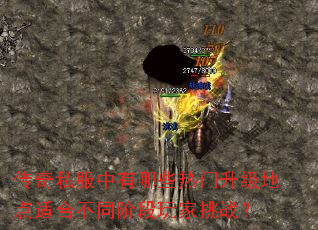 ˽Щصʺϲͬ׶ս