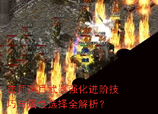 ʦǿ׼ѡȫ