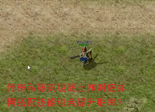 ˽߼սʿPKʱӦδ似ʤʣ