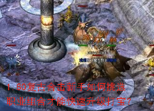 1.80źϻѡְҵϲܿ򱦣