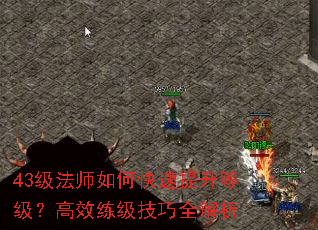 43����ʦ��ο��������ȼ�����Ч��������ȫ����