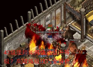 43����ʦ��ο��������ȼ�����Ч��������ȫ����