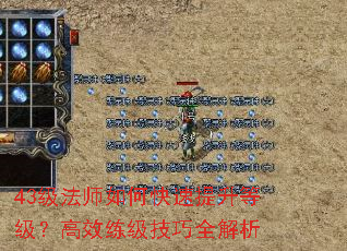 43����ʦ��ο��������ȼ�����Ч��������ȫ����