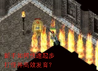 ������ο����𲽴�ֲ���Ч������