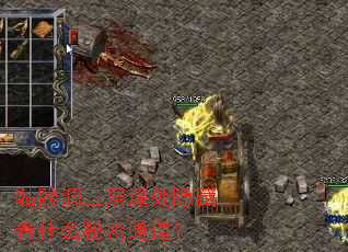 骷髅洞三层深处隐藏着什么秘密通道? 骷髅洞三层深处隐藏着什么秘密通道?