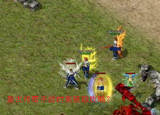 ���Ŵ�������ʱװ��ȡ���ԣ�