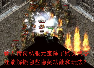 �¿�����˽��Ԫ�����˹����������ܽ�����Щ���ع��ܺ��淨��