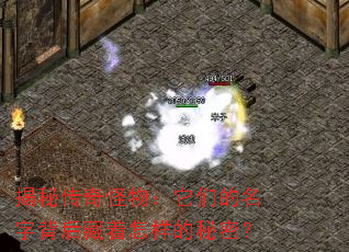 揭秘传奇怪物:它们的名字背后藏着怎样的秘密? 揭秘传奇怪物:它们的名字背后藏着怎样的秘密?