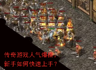 ������Ϸ�������������ο������֣�