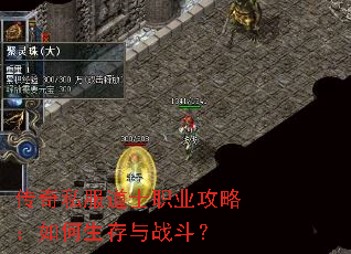 ����˽����ʿְҵ���ԣ����������ս����