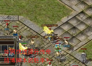 如何快速提升传奇赌博脚本的胜率? 如何快速提升传奇赌博脚本的胜率?