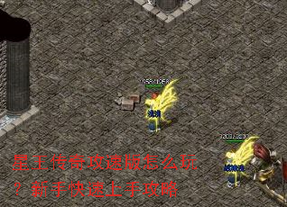 �������湥�ٰ���ô�棿���ֿ������ֹ���