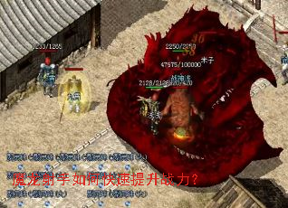 ħ��������ο�������ս����