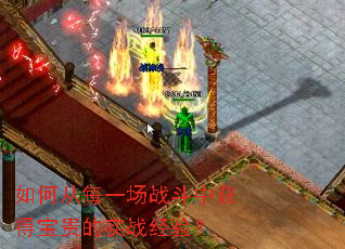 ��δ�ÿһ��ս���л�ñ����ʵս���飿