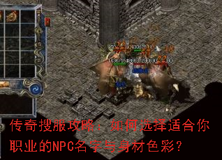 �����ѷ����ԣ����ѡ���ʺ���ְҵ��NPC����������ɫ�ʣ�