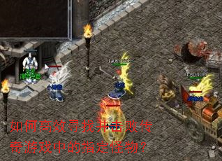 ��θ�ЧѰ�Ҳ����ܴ�����Ϸ�е�ָ�����