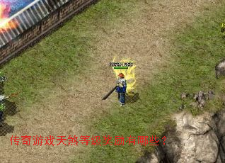 ������Ϸ��ɷ�ȼ���������Щ��