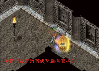 ������Ϸ��ɷ�ȼ���������Щ��