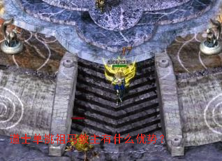 ��ʿ�������������ʲô���ƣ�