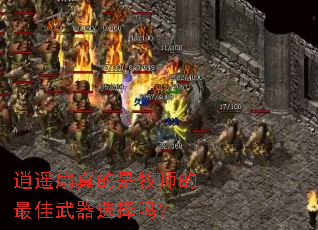 ��ң���������ʦ���������ѡ����