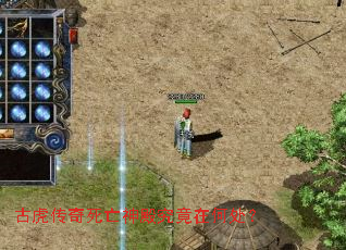 �Ż��������������ںδ���