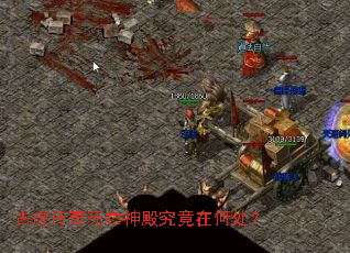 �Ż��������������ںδ���