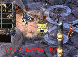 ��ʦ��θ�Ч���ܾ�Ӣţħ�֣�