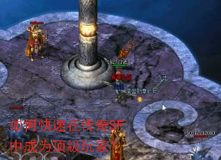 ��ο����ڴ���SF�г�Ϊ������ң�