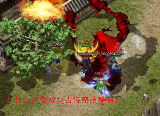 ��ο��ٻ�ȡ���Ŵ��漼���飿