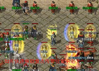 ��ο��ٻ�ȡ���Ŵ��漼���飿